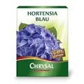 Artikelbild Chrysal Hortensien Blau