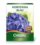 Artikelbild Chrysal Hortensien Blau